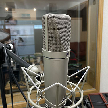Voice Recording & Casting
